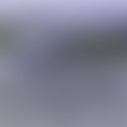 MENINĖS KŪRYBOS DARBŲ KONKURSAS „LAIMĖ NEĮMANOMA BE TĖVYNĖS LAISVĖS“