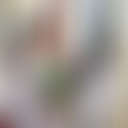 POLITIKO ŽODIS (11). PAMĄSTYMAI APIE VASAROS DARBUS IR RUDENS LŪKESČIUS