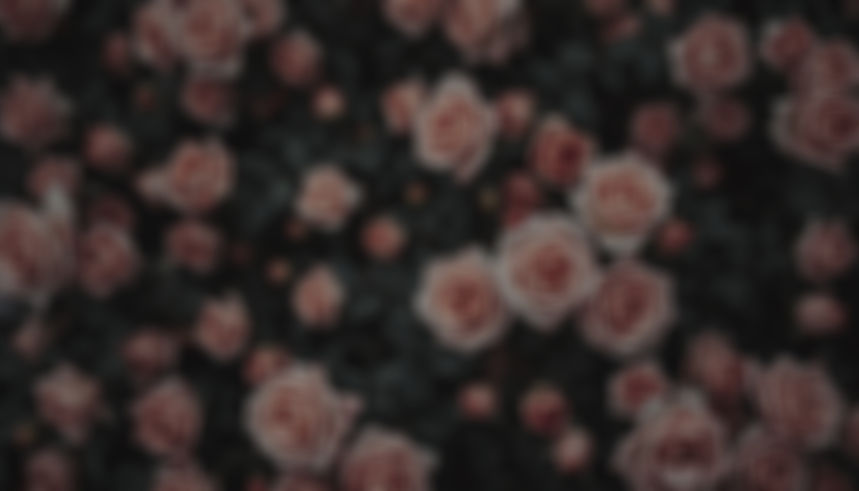 lots of blurry dark leaves and cream_blush roses out of focus dark romantic vibes make the