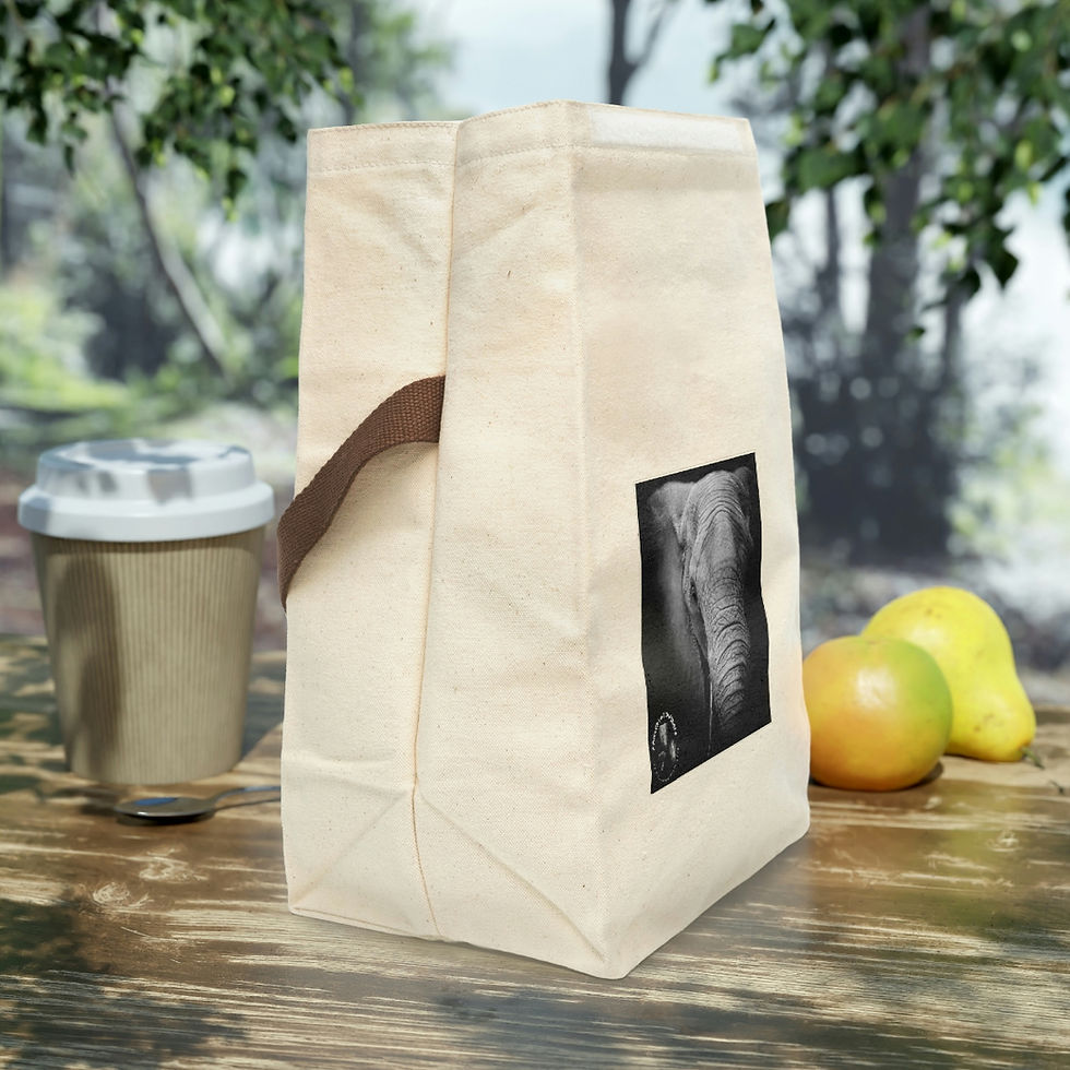 Thumbnail: Elephant Eco-friendly Canvas Lunch Bag With Strap