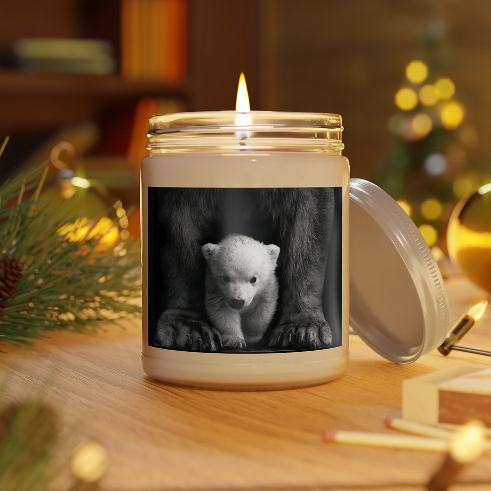 Thumbnail: Polar Bear Eco-friendly Scented Soy Candles with White Lid, 9oz