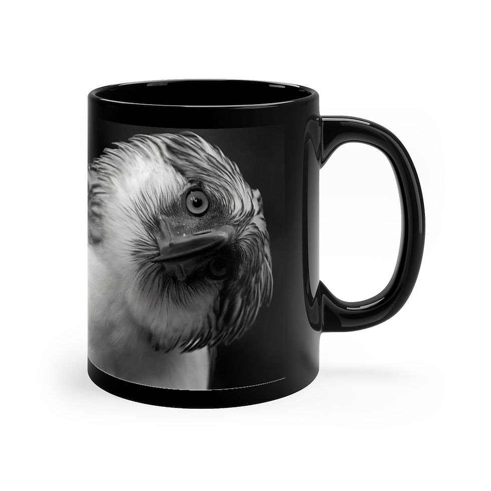 Thumbnail: 11oz Philippine Eagle Mug