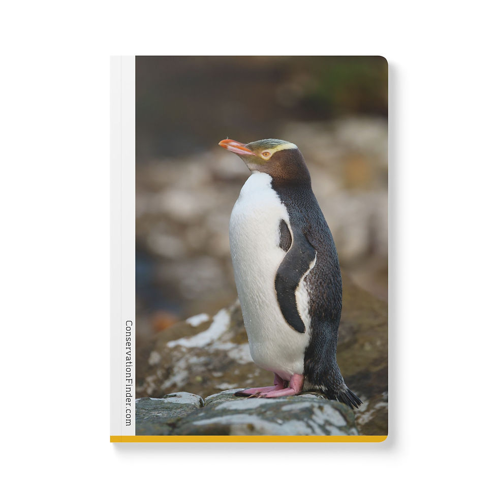 Thumbnail: Yellow-Eyed Penguin Softcover Journal (with Inside Prints)