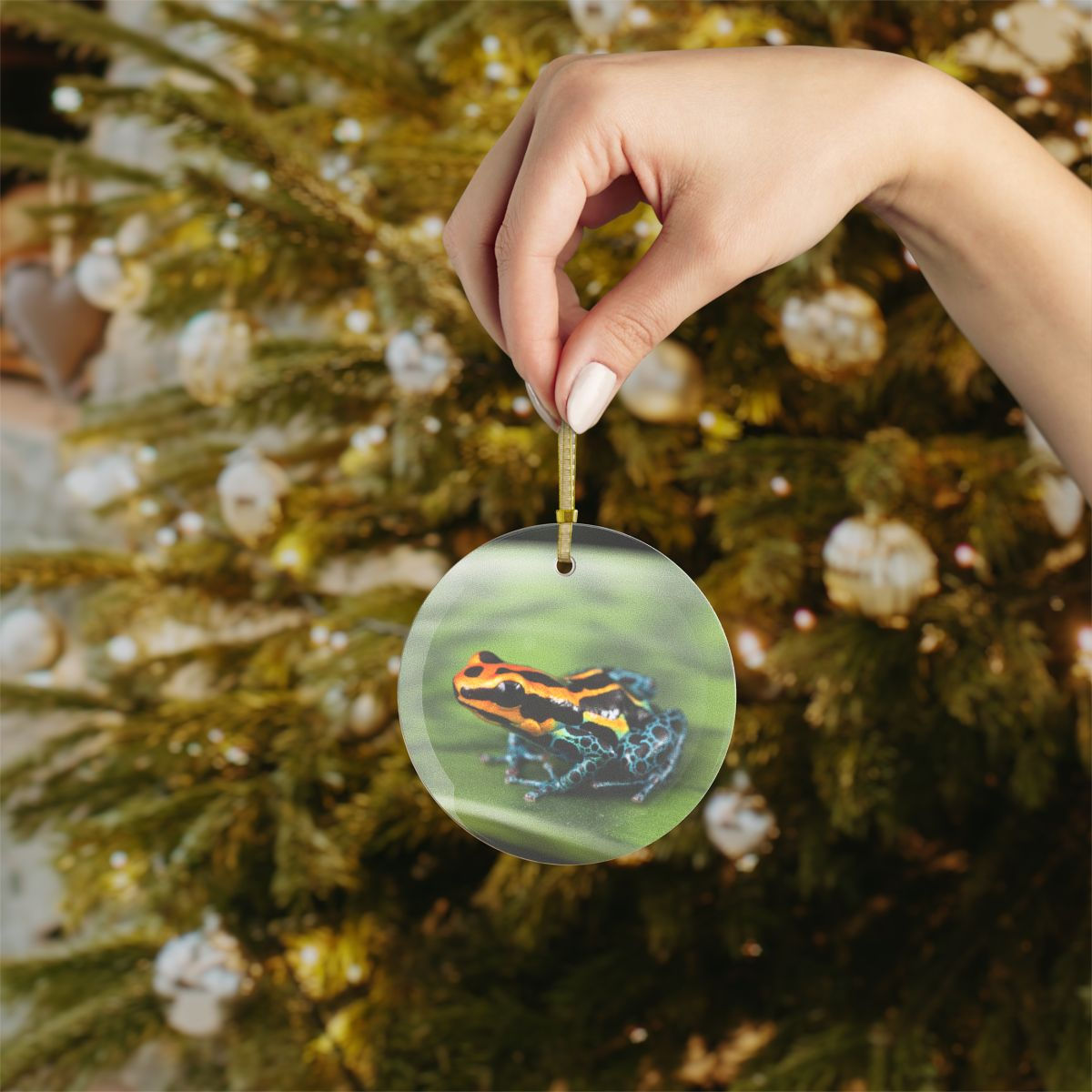 Poison Dart Frog Glass Ornaments