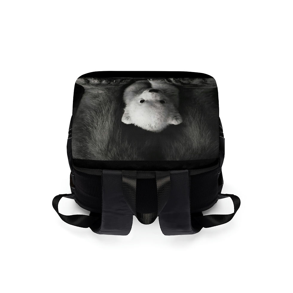 Thumbnail: Save the Polar Bear Backpack