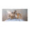 Thumbnail: Tiger Beach Towel