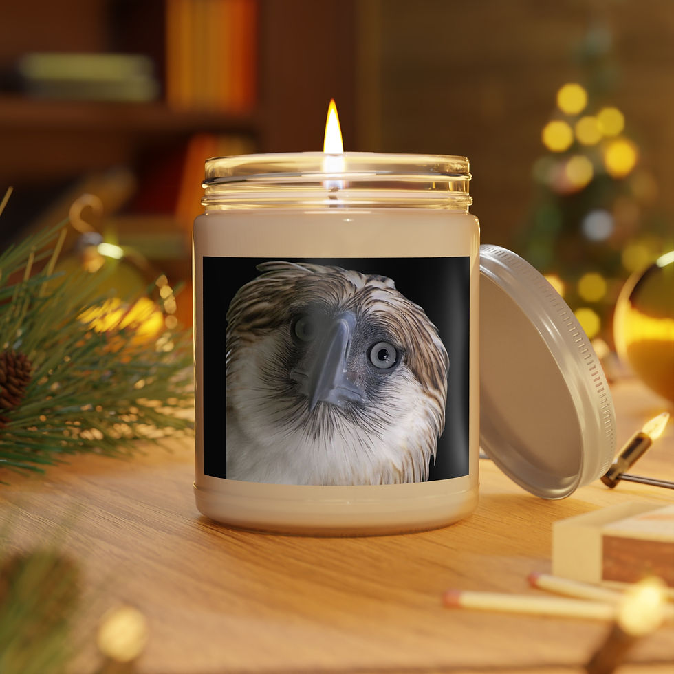 Thumbnail: Philippine Eagle Eco-Friendly Scented Soy Candles with White Lid, 9oz