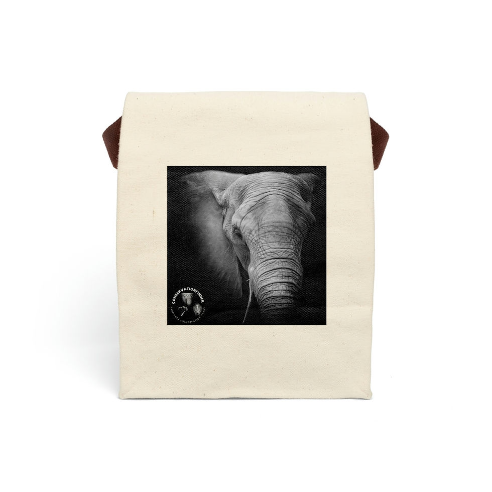 Thumbnail: Elephant Eco-friendly Canvas Lunch Bag With Strap