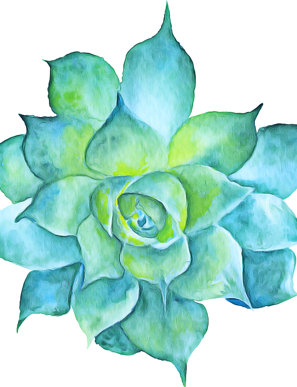 watercolor%20agave_edited.png