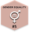 SDG 5.jpg