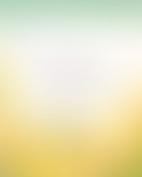 40代入会のチラシ