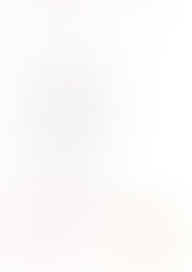 アンケート内容