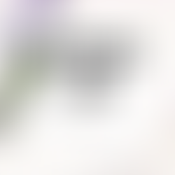 札幌40代女性婚活 結婚相談所入会