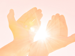 掌の光