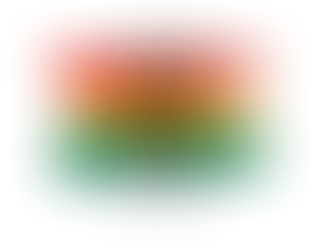 Searching for Your African American Ancestors