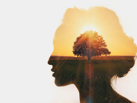Most User-Friendly Genealogy Websites - My Personal Insights