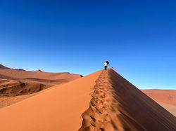 WhatsApp Image 2024-10-02 at 12.15.02_599f6a96