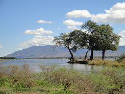 Island_in_the_Zambezi_River_at_Mana_Pools_National_Park-1.jpg