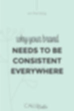 Calle Creative Why Your Brand Needs To Be Consistent Everywhere
