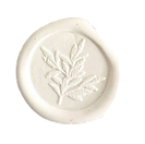 aE (6).png