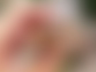 発音は1回言えたら、全部言えるの?
