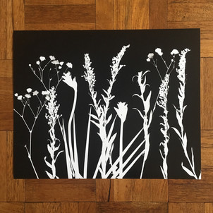 Photogram.JPG
