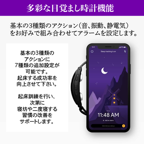 PAVLOK33-2-01.png