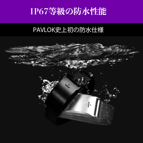 PAVLOK39-2-01.png