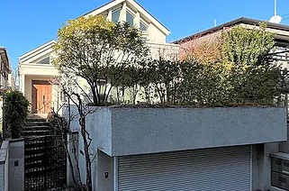 20150107_tamatebako_ec-670x443.jpg