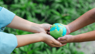 Enhancing Corporate Value Through ClearSky’s Carbon Offsetting Solutions