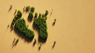 Navigating the Carbon Footprint Journey with ClearSky