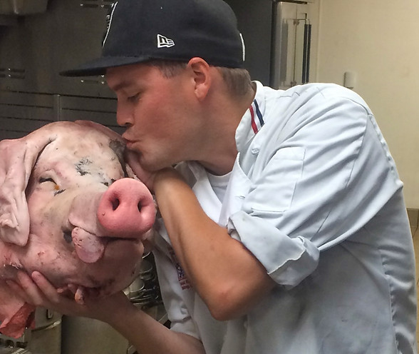 Chris pigs head LR.jpg
