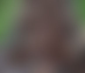 It's Never too Late for Fall Composting