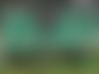 LUFC U13 Girls Greens reach Cup Final