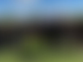 Another Successful Year for U13 Girls Reds