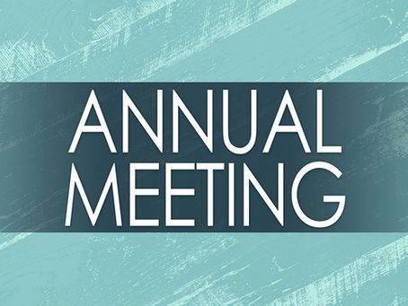 Annual Meeting & Board of Director Candidates