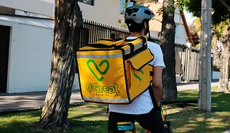 vgreat-website-example.webp