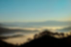 _DSC6595.jpg