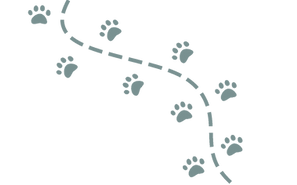 short paw path-flip.png