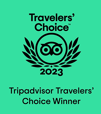 Travelers' Choice Award