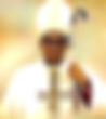 DOM CARLOS HENRIQUE SILVA OLIVEIRA | A Missa No Brasil (site)