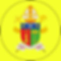 DIOCESE DE PALMAS-FRANCISCO BELTRÃO | A Missa No Brasil (site)