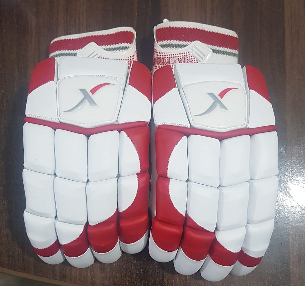 Sportee Gloves