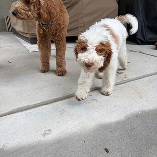 Sophie and Travis outside