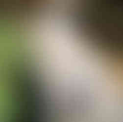 Malashi Enjoying Outside Time