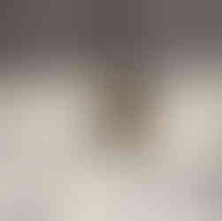 Boxer puppy in an elevator