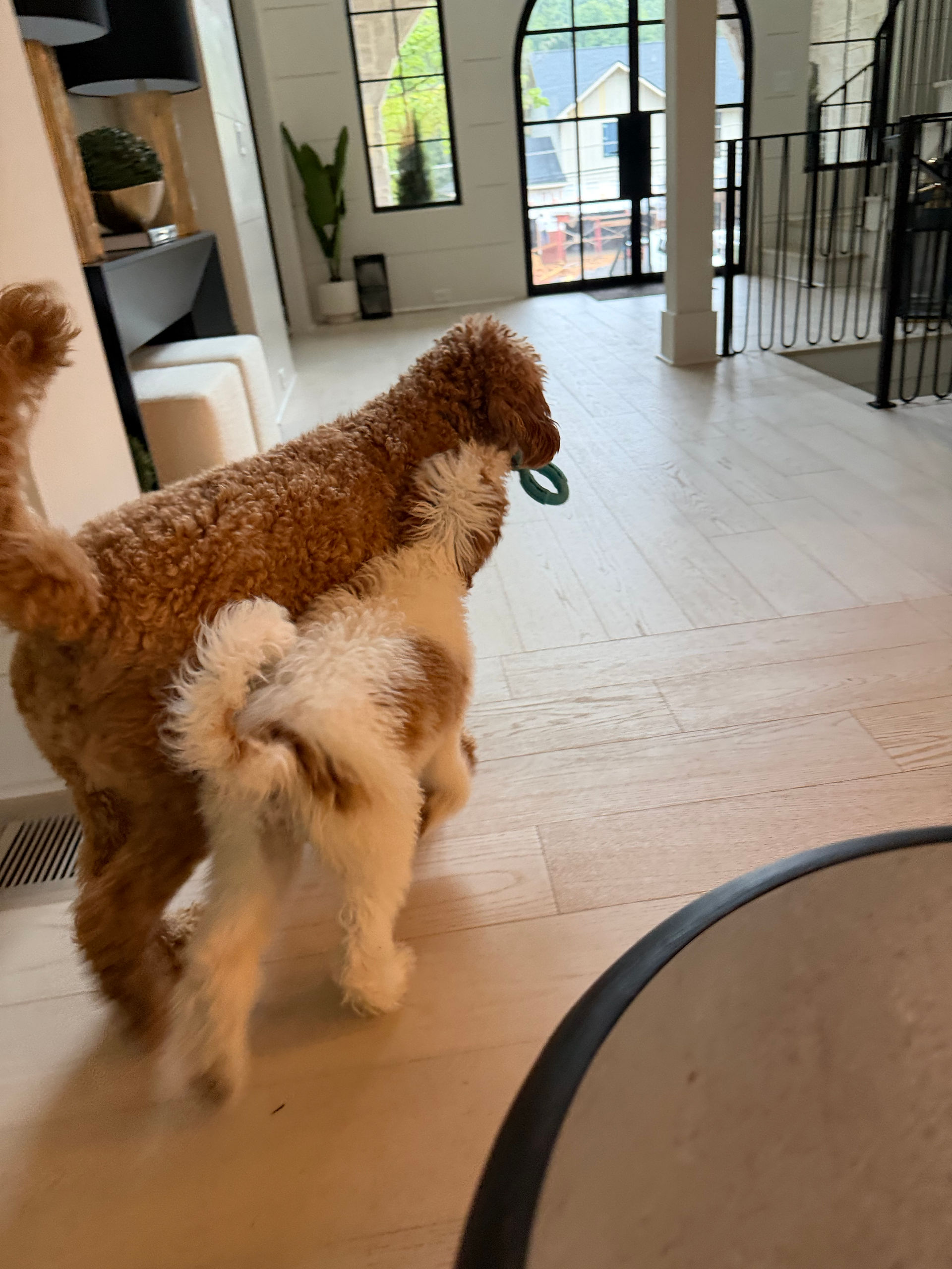 Sophie and Travis playing