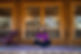 Cultivate59.jpg