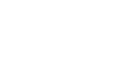 Logo LS fondos oscuros_edited.png
