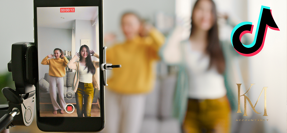 income tracking spreadsheet for TikTok influencers